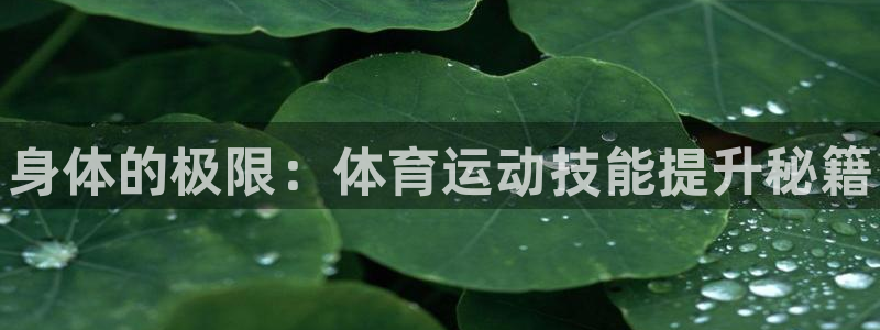 JJB竞技宝官网下载平台注册要钱吗是真的吗：身体的极