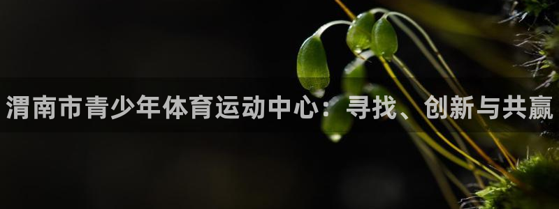 JJB竞技宝官网下载娱乐：渭南市青少年体育运动中心：