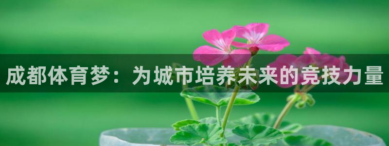 JJB竞技宝官网下载平台APP：成都体育梦：为城市培