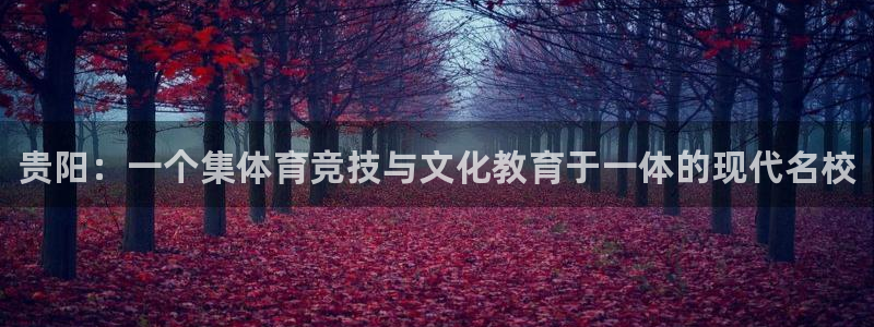 JJB竞技宝官网下载招商电话号码：贵阳：一个集体育竞