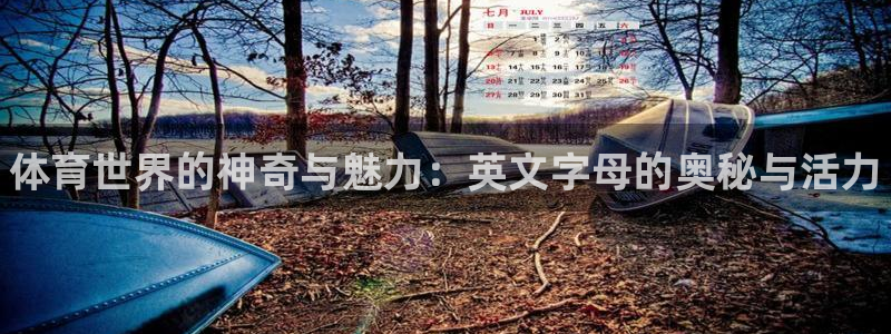 注册JJB竞技宝官方正版app：体育世界的神奇与魅力