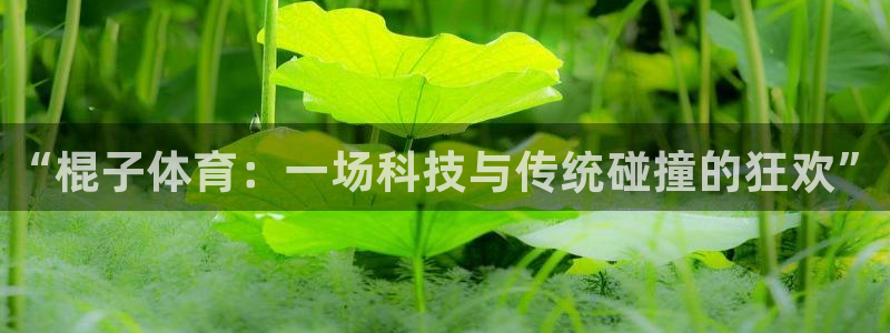 JJB竞技宝官网下载招商电话号码查询是多少：“棍子体