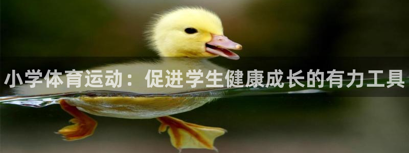 JJB竞技宝官网下载：小学体育运动：促进学生健康成长