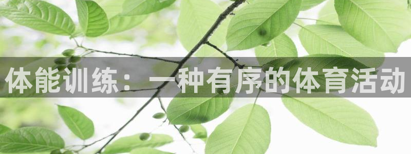 JJB竞技宝官方正版app五金厂：体能训练：一种有序的体育活