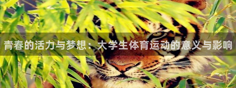 JJB竞技宝官网下载联系电话：青春的活力与梦想：大学生体育运