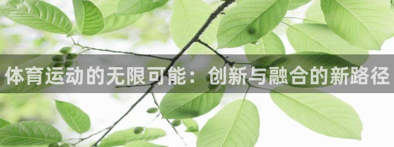 JJB竞技宝官网下载是干嘛的公司：体育运动的无限可能：创新与