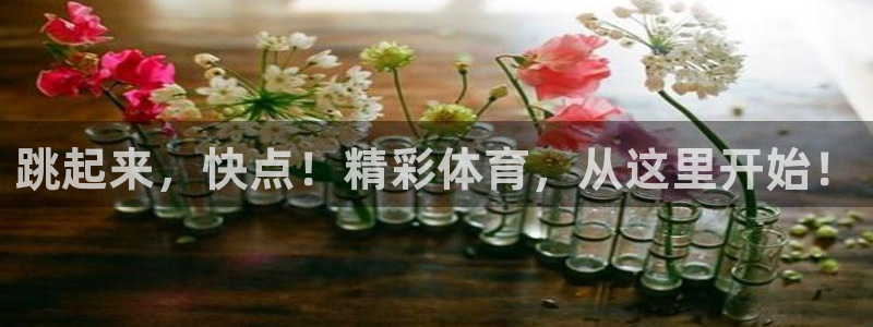 JJB竞技宝官方正版app集团E.ON：跳起来，快点