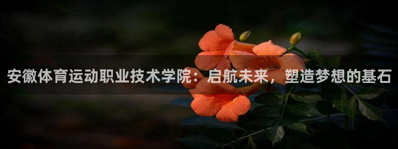 海南JJB竞技宝官网下载发展怎么样：安徽体育运动职业技术学院