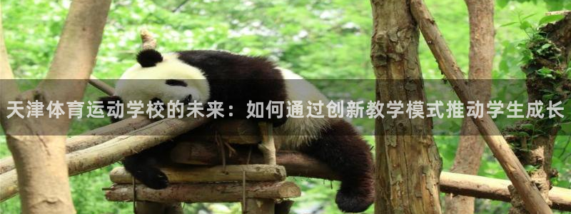 JJB竞技宝官方正版app娱乐平台