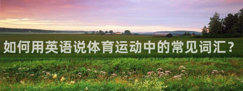 JJB竞技宝官方正版app集团：如何用英语说体育运动