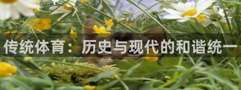 JJB竞技宝官网下载平台是正规平台吗知乎：传统体育：