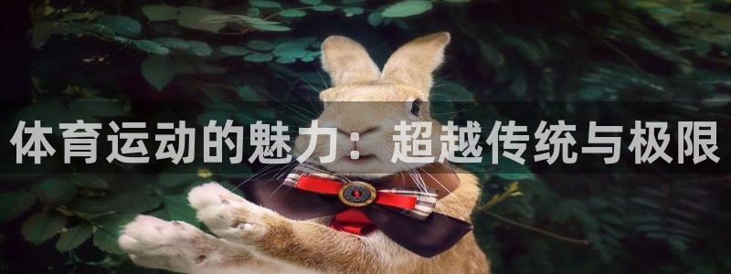 JJB竞技宝官网下载是干嘛的公司：体育运动的魅力：超