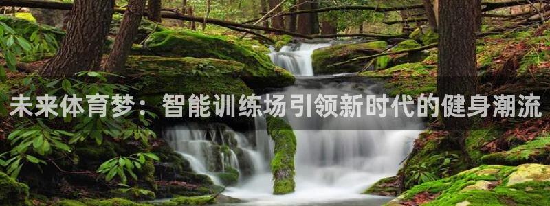 JJB竞技宝官网下载平台假的吗是真的吗吗：未来体育梦：智能训