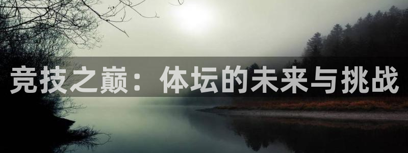 海南JJB竞技宝官网下载发展怎么样：竞技之巅：体坛的