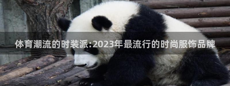 注册JJB竞技宝官方正版app：体育潮流的时装派:2