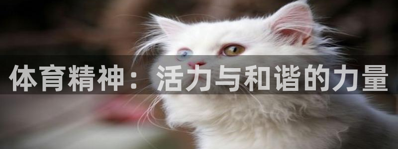 JJB竞技宝官网下载官方客服电话：体育精神：活力与和