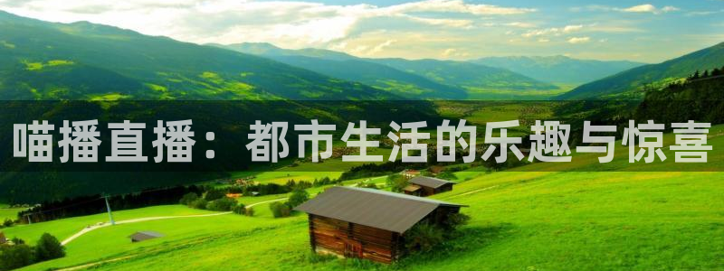 袋鼠nba体育比赛免费：喵播直播：都市生活的乐趣与惊喜