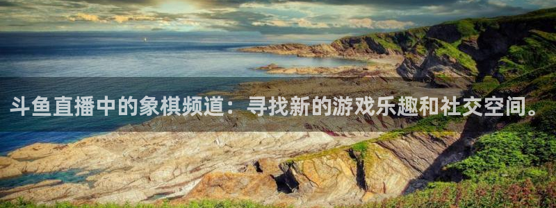 袋鼠体育直播在线观看