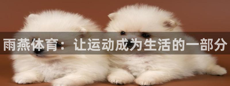 袋鼠体育在线直播免费