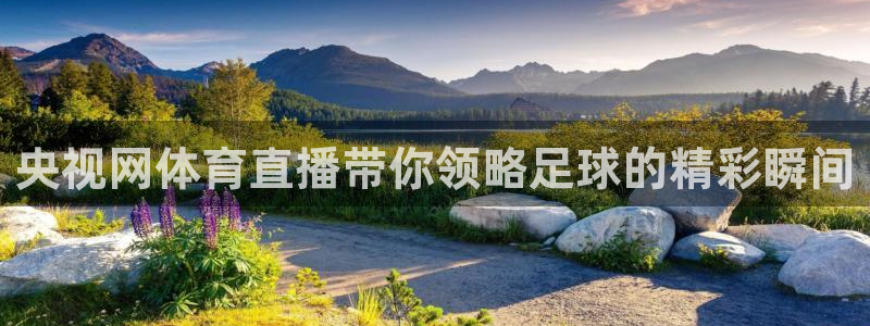 袋鼠直播nba体育：央视网体育直播带你领略足球的精彩瞬间