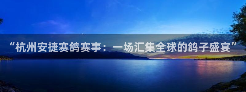 袋鼠体育在线直播：“杭州安捷赛鸽赛事：一场汇集全球的鸽子盛宴”
