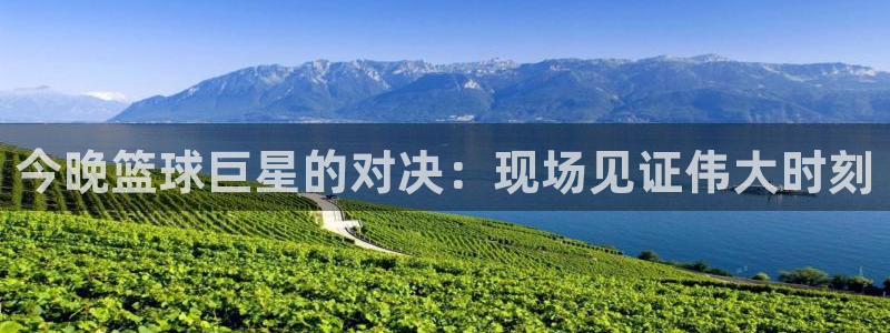 袋鼠看球直播：今晚篮球巨星的对决：现场见证伟大时刻
