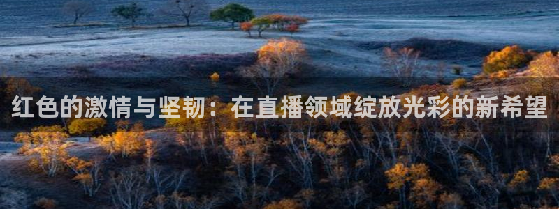 袋鼠体育直播在线观看免费：红色的激情与坚韧：在直播领域绽放光彩的新希望