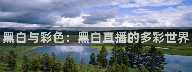 袋鼠直播在线播放：黑白与彩色：黑白直播的多彩世界