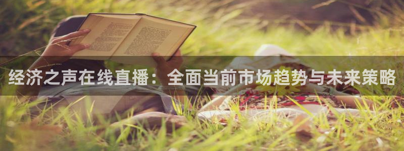 足球直播袋鼠：经济之声在线直播：全面当前市场趋势与未来策略