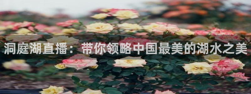 袋鼠体育直播：洞庭湖直播：带你领略中国最美的湖水之美
