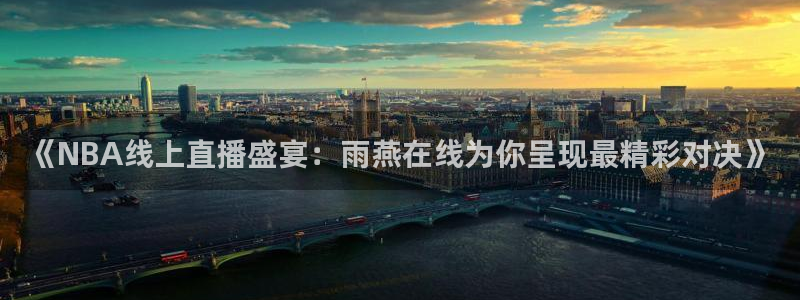袋鼠直播体育直播：《NBA线上直播盛宴：雨燕在线为你呈现最精彩对决》