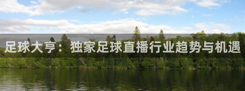 袋鼠直播体育直播入口：足球大亨：独家足球直播行业趋势与机遇