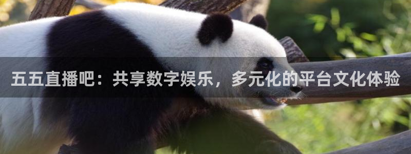 袋鼠直播nba体育：五五直播吧：共享数字娱乐，多元化的平台文化体验