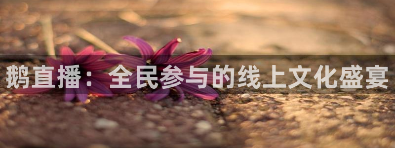 nba袋鼠直播：鹅直播：全民参与的线上文化盛宴