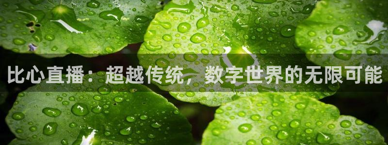 袋鼠体育直播在线观看免费：比心直播：超越传统，数字世界的无限可能