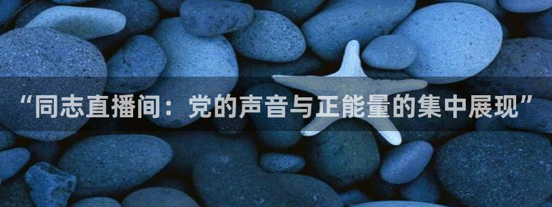 袋鼠体育直播nba：“同志直播间：党的声音与正能量的集中展现”