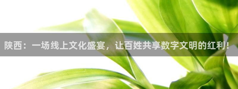袋鼠直播篮球：陕西：一场线上文化盛宴，让百姓共享数字文明的红利！